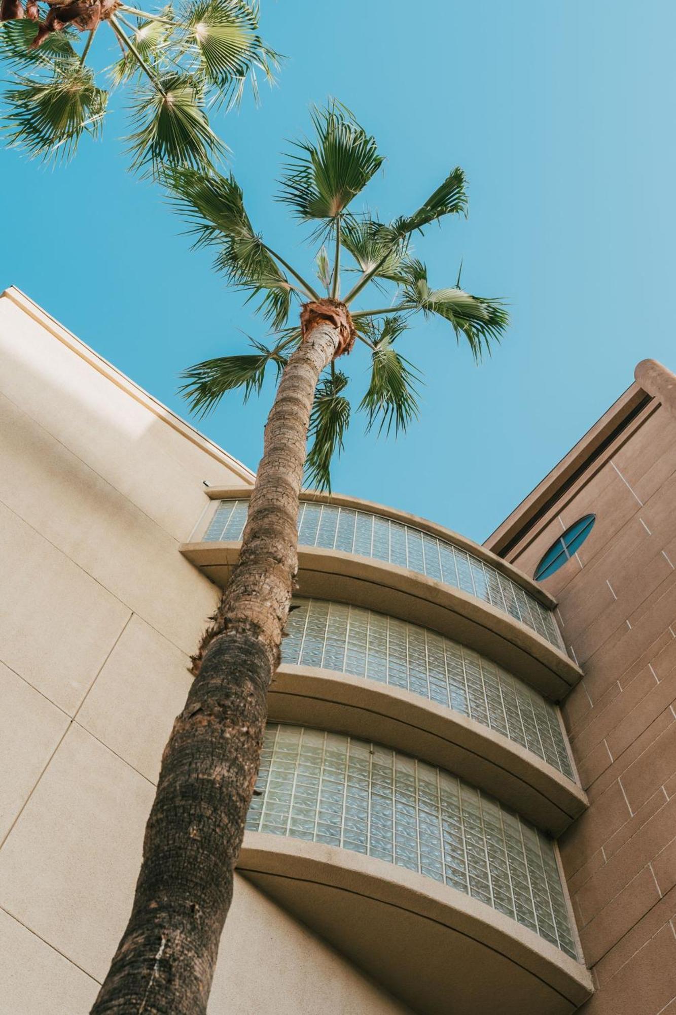 Courtyard By Marriott Los Angeles Lax / Century Boulevard Εξωτερικό φωτογραφία
